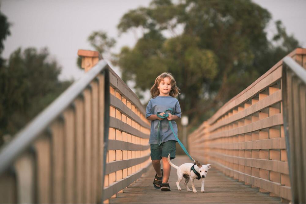 Image of child walking his dog 