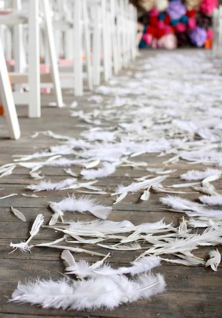An image of many feathers on the floor 