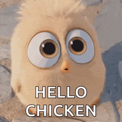 Hello chicken GIF 