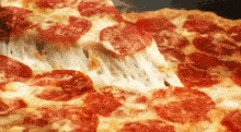 A cheese pizza GIF 