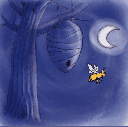 Image of book cover of storybooks online Buzze Bee's Night Out 