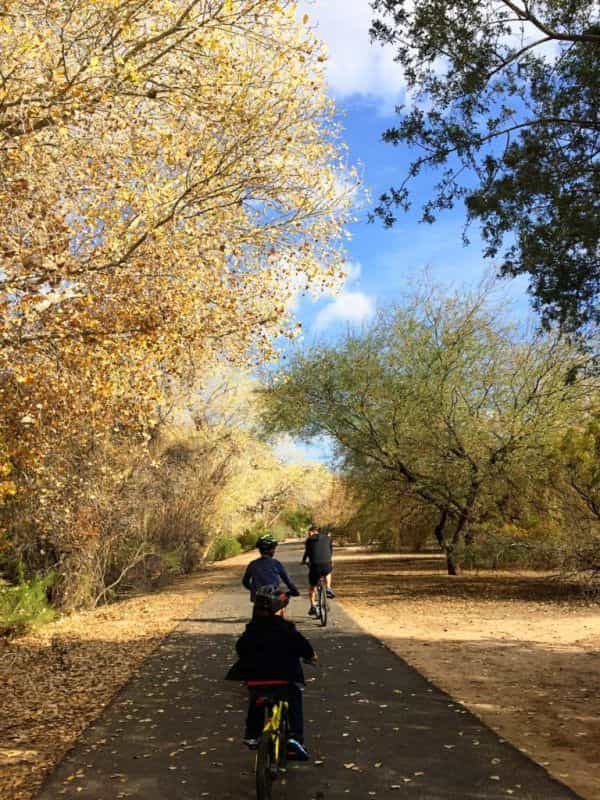 Image of kids on bicycles