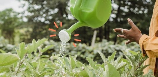 Image of reaping and sowing - best reap what you sow quotes