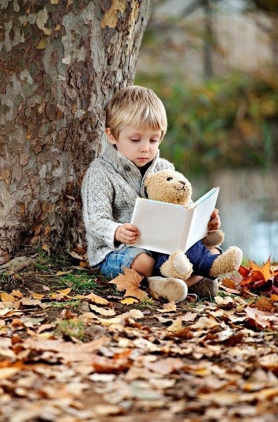 A boy reading a book in forest with toy reading strategies