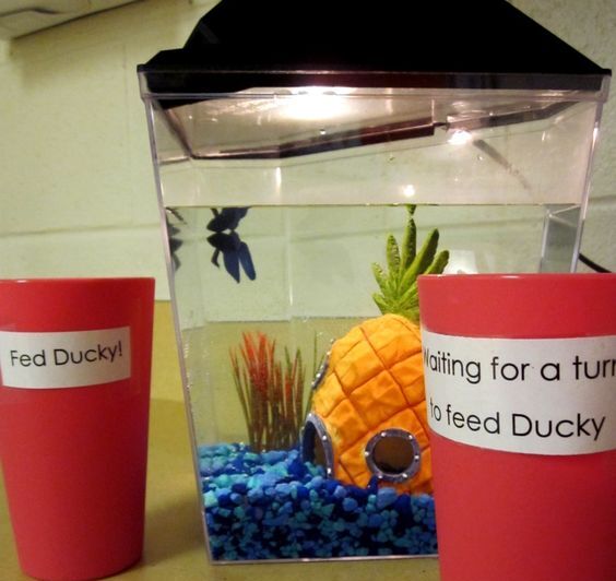 Aquarium fish tank based classroom decoration ideas