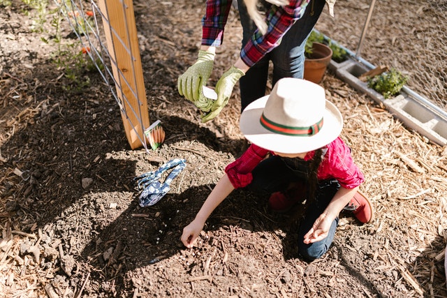 Child planting seeds in the soil for outdoor classroom