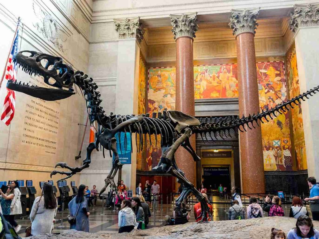 American Museum of Natural History Things to do With Kids Near me
