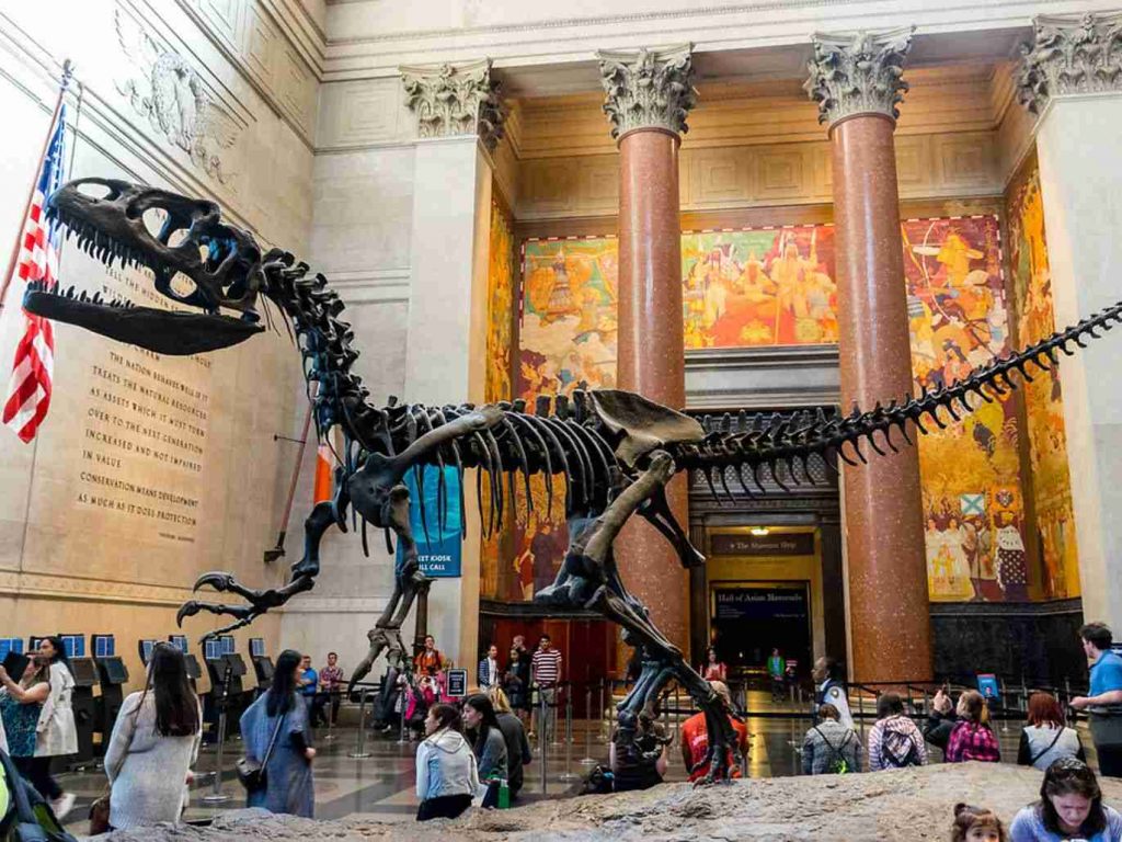 AmericanMuseumofNaturalHistoryThingstodoWithKidsNearme American Museum of Natural History Things to do With Kids Near me