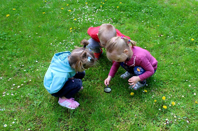 Children in field observing green grass Graphic Organizer