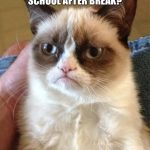 Grumpy cat back to school memes