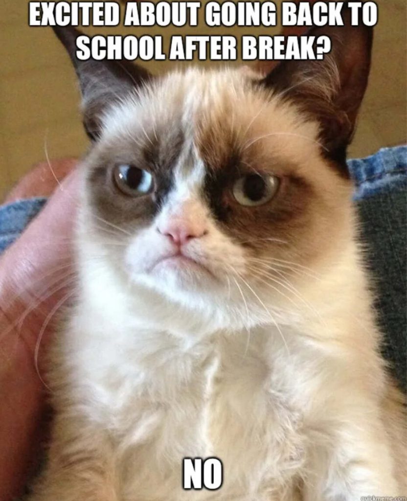 Grumpy cat back to school memes