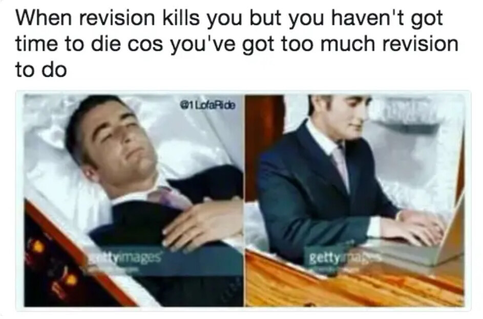 Revision school memes no time to die