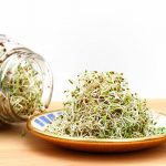 Seed-Germination-Science-Experiments