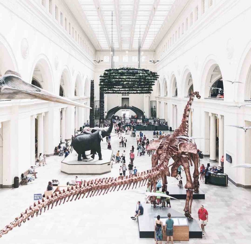 TheFieldMuseumChicagoThingstodoWithKidsNearme1 The Field Museum Chicago Things to do With Kids Near me