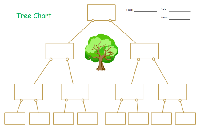 6 Types of Graphic Organizers for Teachers and Students