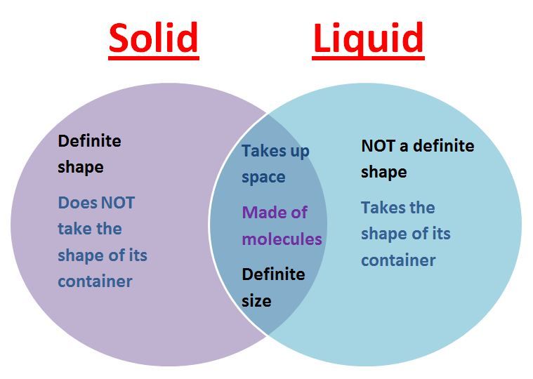 Venn Diagrams graphic organizer