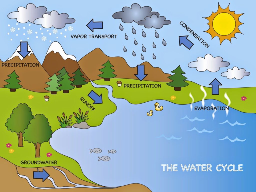 Water Cycle Kids Science Experiments