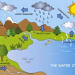 Water-Cycle-Kids-Science-Experiments