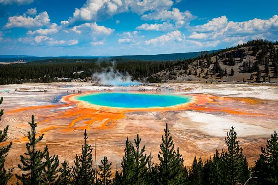 Yellowstone National Park Things to do With Kids Near me American Museum of Natural History Things to do With Kids Near me