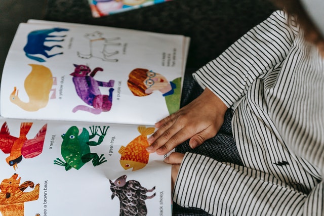 Child watching bright pictures with animals in book Reading levels