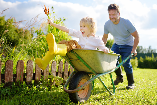 Father child in the garden gardening with children