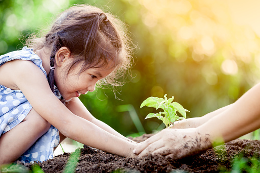 Girl sowing plant in ground gardening with children