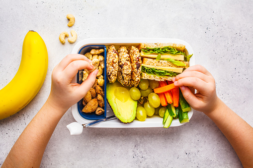 School healthy lunch box with sandwich cookies fruits and avocado lunch ideas for kids School healthy lunch box with sandwich cookies fruits and avocado lunch ideas for kids