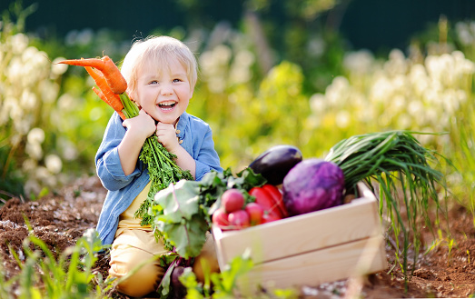 Young girl with farm fresh vegetables gardening with children