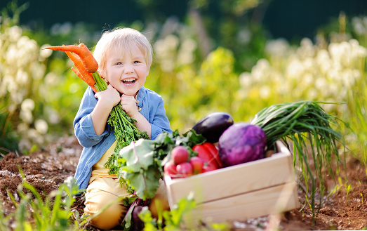 Young girl with farm fresh vegetables Gardening with Kids Young girl with farm fresh vegetables gardening with children