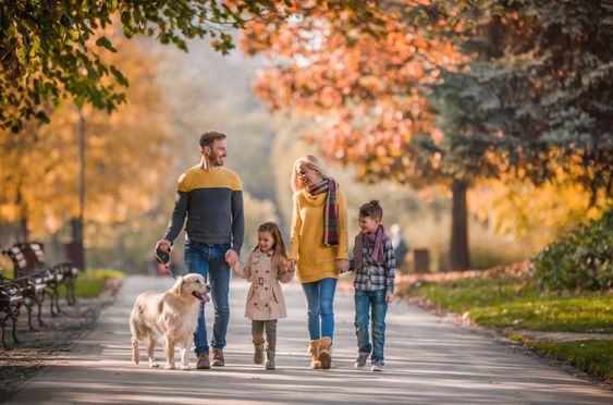 Image of a family walking in the park