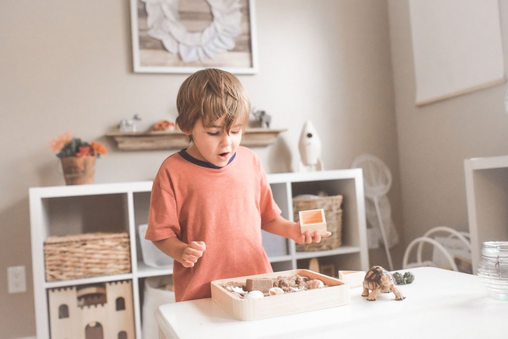 Young child playing with dinosaur and wooden toys