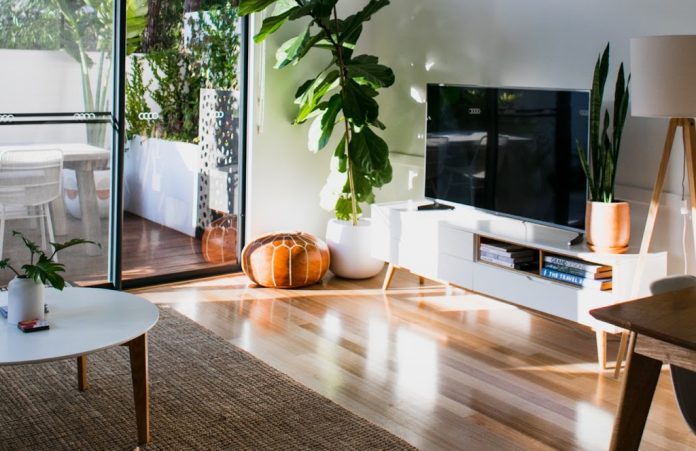 Living room with a television and a large pumpkin decor