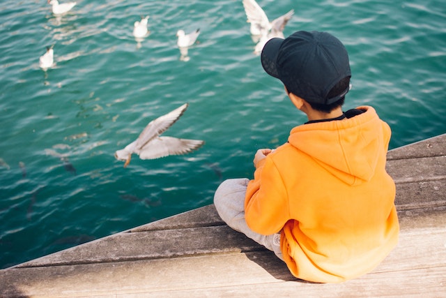 Young child sitting alone watching birds