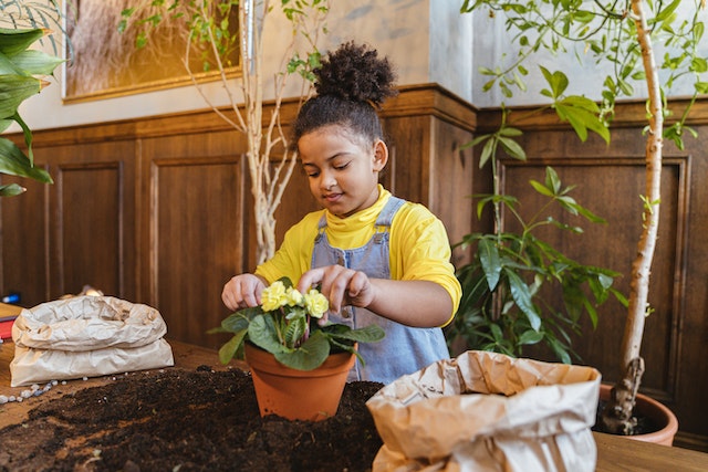 A young girl tending to a plant in a flowerpot