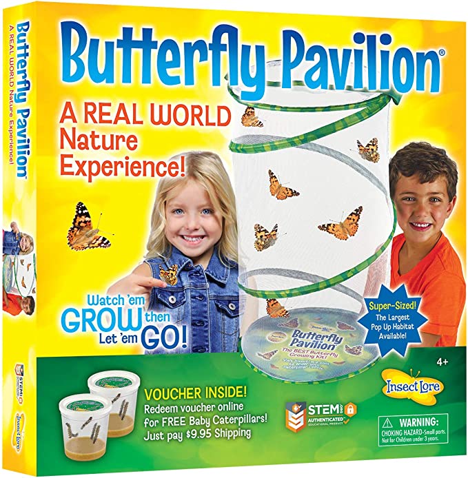 Box of insect lore butterfly pavilion
