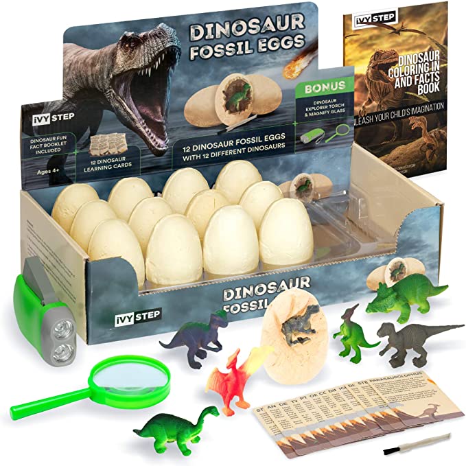 Box of Dinosaur Fossil Dig Kit