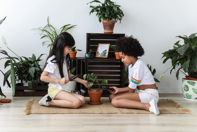 Two kids pruning a potted plant