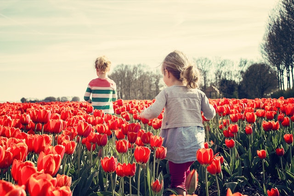 Children playing in tulip field