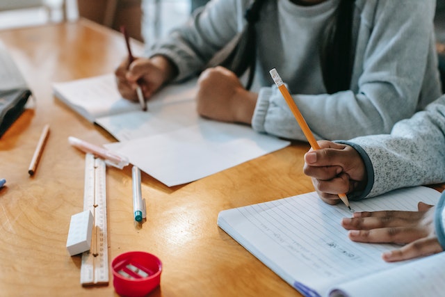 Children working on homeschool project