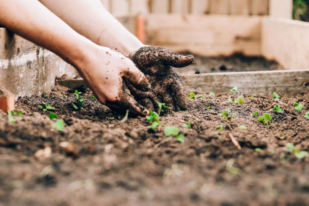 Kid holding a sapling in the mud