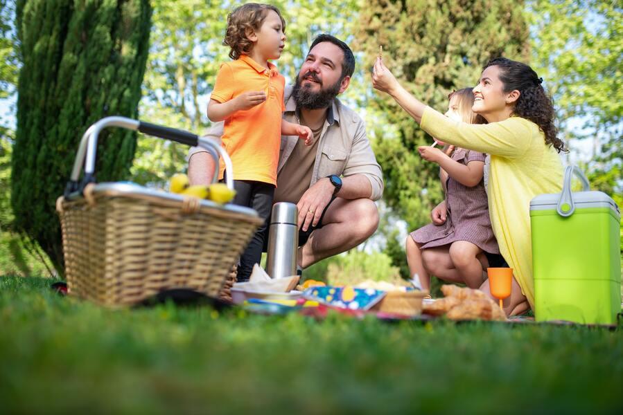 A family enjoying picnic in the park