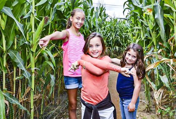 Kids in a corn maze