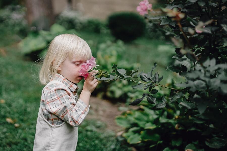 A toddler smelling a flower in the garden