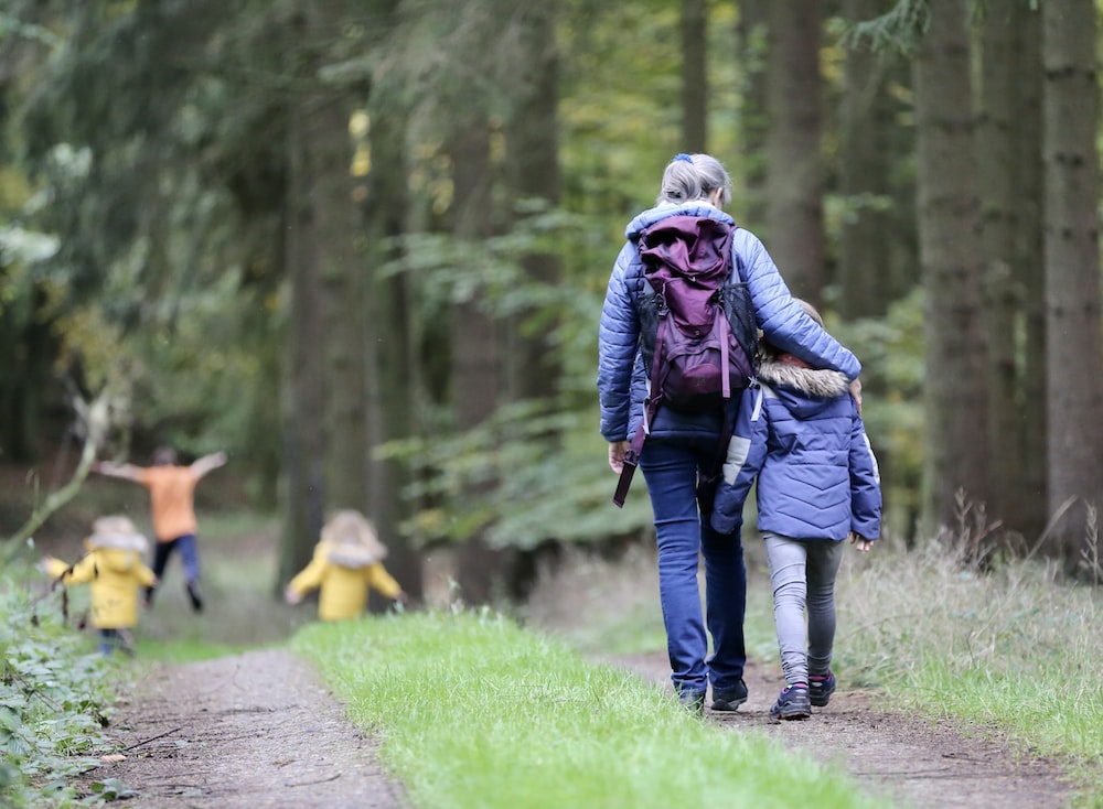 Kids going on a hike with an adult