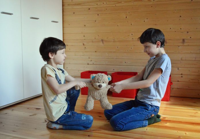 Angry little brothers fighting and pulling toy to sides