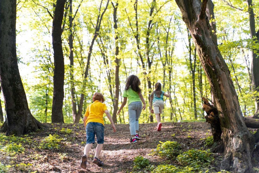 Kids walking in the forest