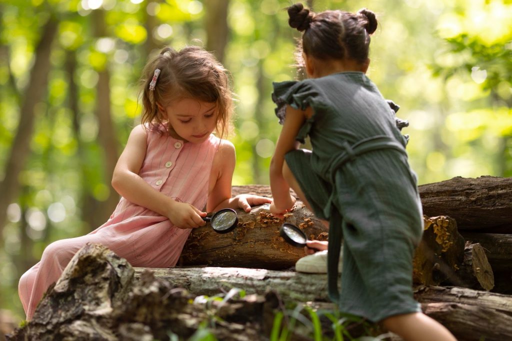 Two girls looking at a wooden log