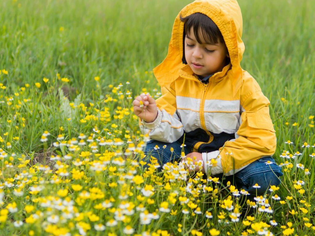 A boy picking flower