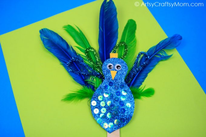 Peacock craft