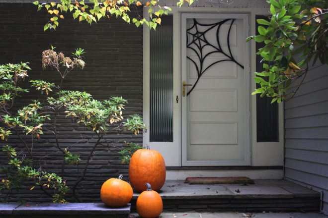 spider web on a door